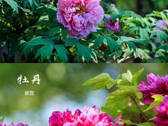 -北京丽晶酒店