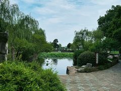 -无锡蠡湖国家湿地公园-蠡园