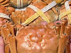 -阳澄湖大闸蟹·琼灵阁牌品牌连锁(吴中总店)