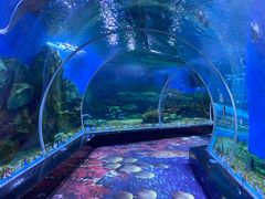 -顺德南宏海立方海洋公园