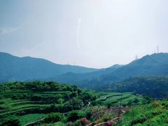 -锄山村