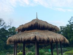 -广西壮族自治区药用植物园