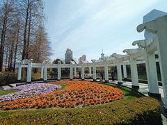 -新虹桥中心花园