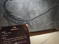 -中华赏石园