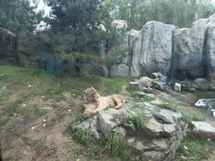 -北京野生动物园