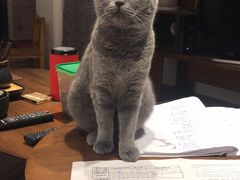 -霍元甲烧烤(江城商务大楼店)