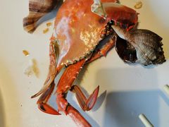 梭子蟹-海味当家·蒸锅海鲜(星海公园店)