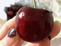 -菜园坝水果市场