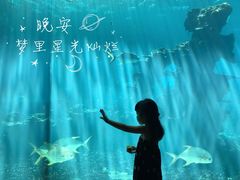 -海棠湾洲际-涛·海底餐厅·美人鱼·自助餐·海底隧道
