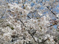-苏州上方山国家森林公园
