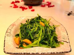 -T館·花园艺术餐厅