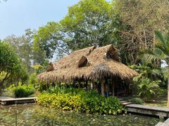 -中国科学院西双版纳热带植物园