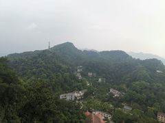 -大金鹰园