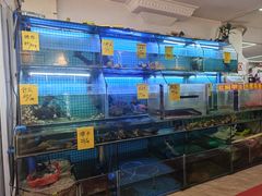 -聪辉同安老美食饭店(大元路店)