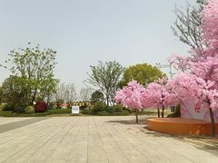 -苏州太湖国家湿地公园