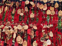 -黔灵山公园