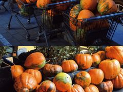 -婕妮璐超市 Jenny Lou’s Shop(三里屯店)