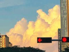 -福田农产品批发市场有限公司蔬菜交易区