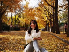 -三里屯东五街银杏大道