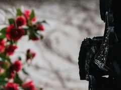 -南翔古镇