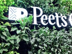 -Peet's Coffee皮爷咖啡(德基店)