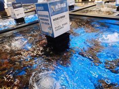 -盒马X会员店(王府井奥莱UP TOWN店)