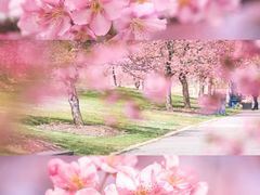 -上海辰山植物园