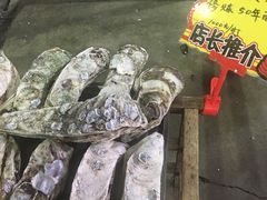 -蚝专家(北滘店)