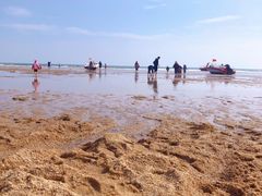 -前王院•巧克力海鲜市集餐厅(万平口店)