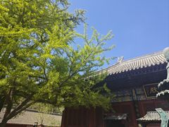 -红螺寺