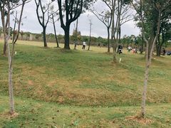 -上海海湾国家森林公园