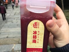-常德桃花源景区