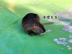 -杭州野生动物世界