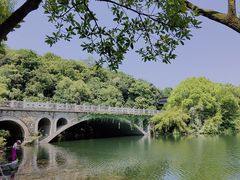 -杭州半山国家森林公园