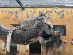 -青藏高原野生动物园