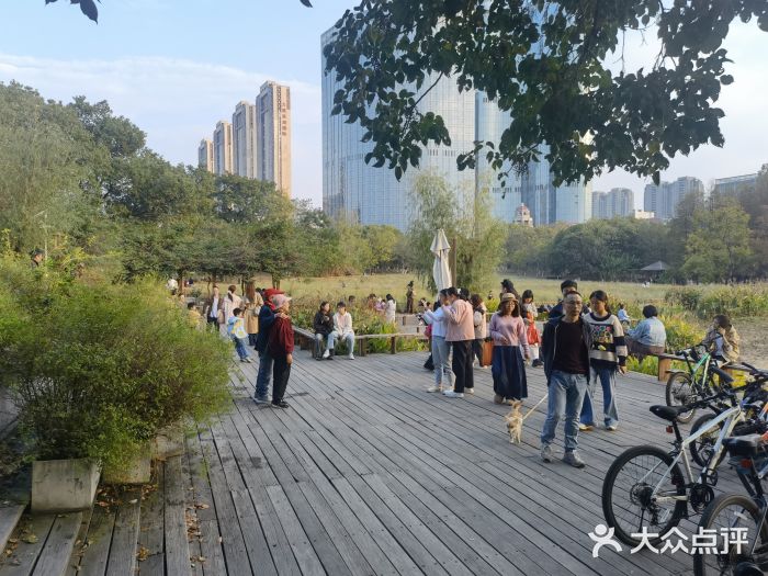 艾溪湖湿地公园图片