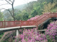 -广州市石门国家森林公园