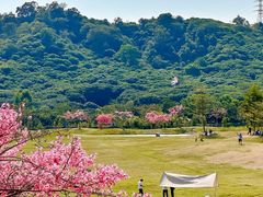 -风云岭森林公园