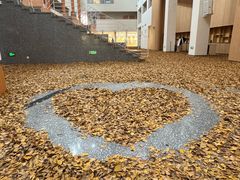 -上海交通大学(闵行校区)