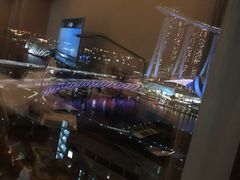 -新加坡文华东方酒店