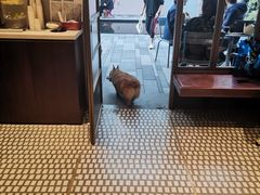 -Luneurs(幸福里店)