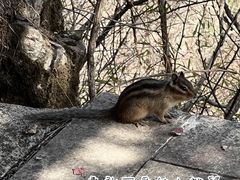 -终南山国家森林公园