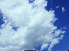 -义顺牛奶公司(庇利金街店)