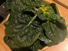 -巴奴毛肚火锅(龙湖锦艺城店)