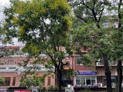 -天津五大道文化旅游区