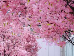 -首开·龙湖成都西宸天街