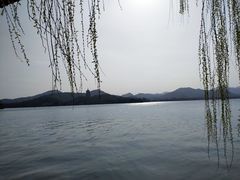 -柳浪闻莺公园