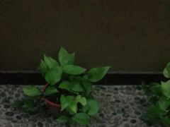 -知足堂养生会所(碑亭巷店)
