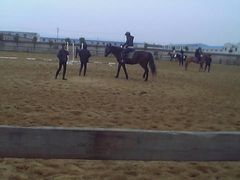 -松声马术俱乐部