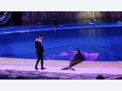 -华夏文旅海洋公园